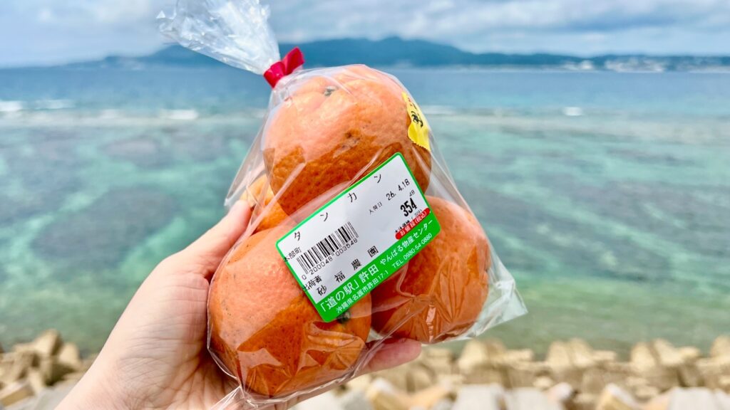 手に持ったタンカンと、背景に広がる道の駅許田の向かいの海