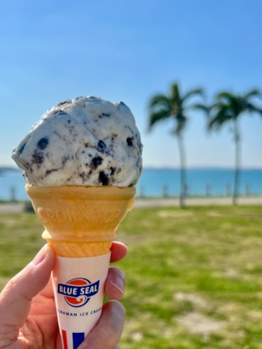 青い海とヤシの木、芝生を背景に、ブルーシールのバニラ&クッキーアイスを手に持っている画像