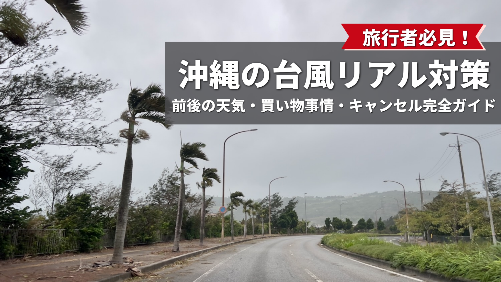 旅行者必見！沖縄の台風リアル対策（天気・買い物・キャンセル完全ガイド）と書かれた、強風で椰子の木がしなる荒天の沖縄の風景