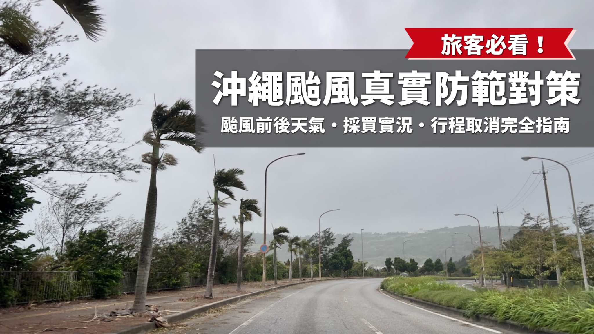寫有「旅客必看！沖繩颱風真實防範對策（天氣・採買・取消行程完全指南）」字樣，以及強風吹彎椰子樹的沖繩惡劣天氣風景