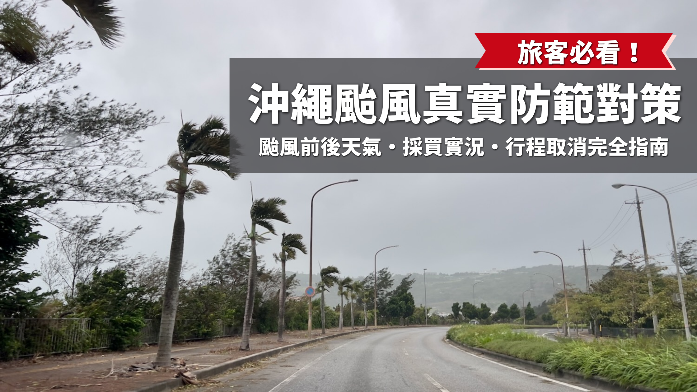 寫有「旅客必看！沖繩颱風真實防範對策（天氣・採買・取消行程完全指南）」字樣，以及強風吹彎椰子樹的沖繩惡劣天氣風景