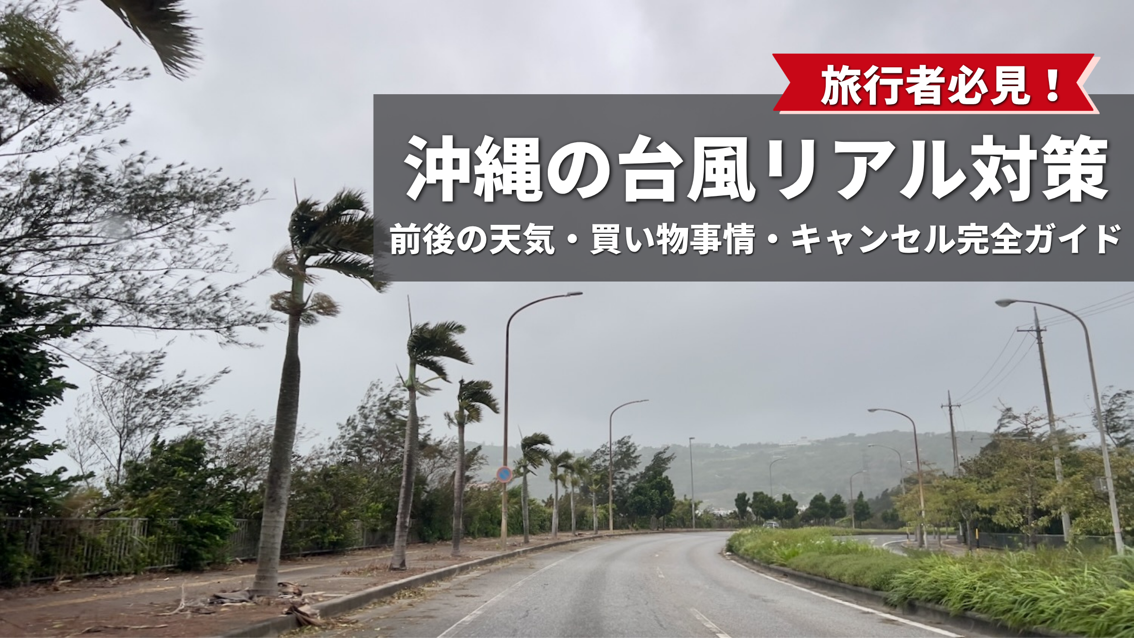 旅行者必見！沖縄の台風リアル対策（天気・買い物・キャンセル完全ガイド）と書かれた、強風で椰子の木がしなる荒天の沖縄の風景