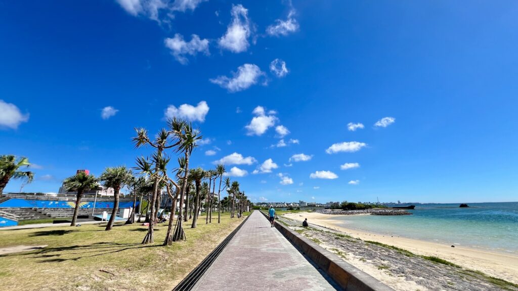 左には芝生と南国の木々が並び、右には白い砂浜と海が広がるアラハビーチの遊歩道