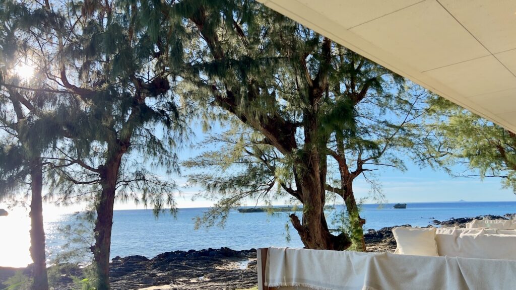 海と植物をRYUKYU BEACH CLUBのソファ席からみた風景