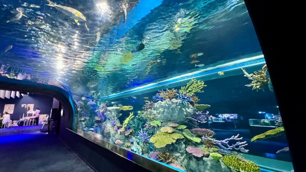 カラフルなサンゴ礁や魚たちが泳ぐ様子が横や頭上からも観察できる、青くライトアップされた水族館の大きな水槽トンネルと通路
