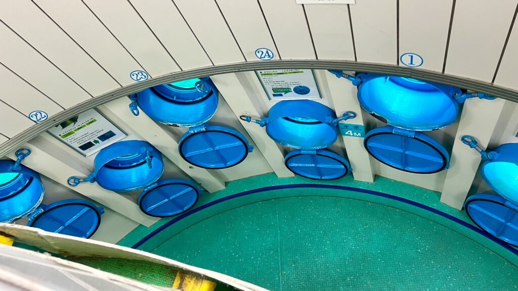ブセナ海中公園 海中展望塔の内部。壁一面に並ぶ丸い窓から海の中を360度観察できるフロア
