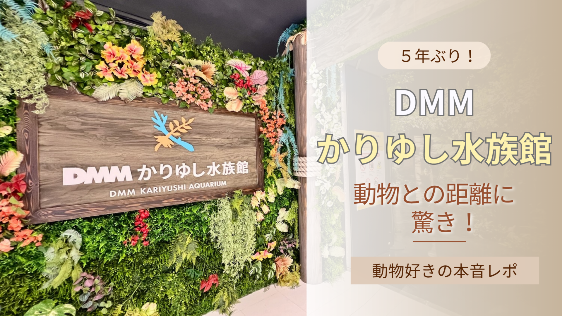 トロピカルなフェイクグリーンに囲まれたおしゃれな「DMM かりゆし水族館」のの展示エリア入り口と、「5年ぶり！DMMかりゆし水族館　動物との距離に驚き！　動物好きの本音レポ」のテキスト