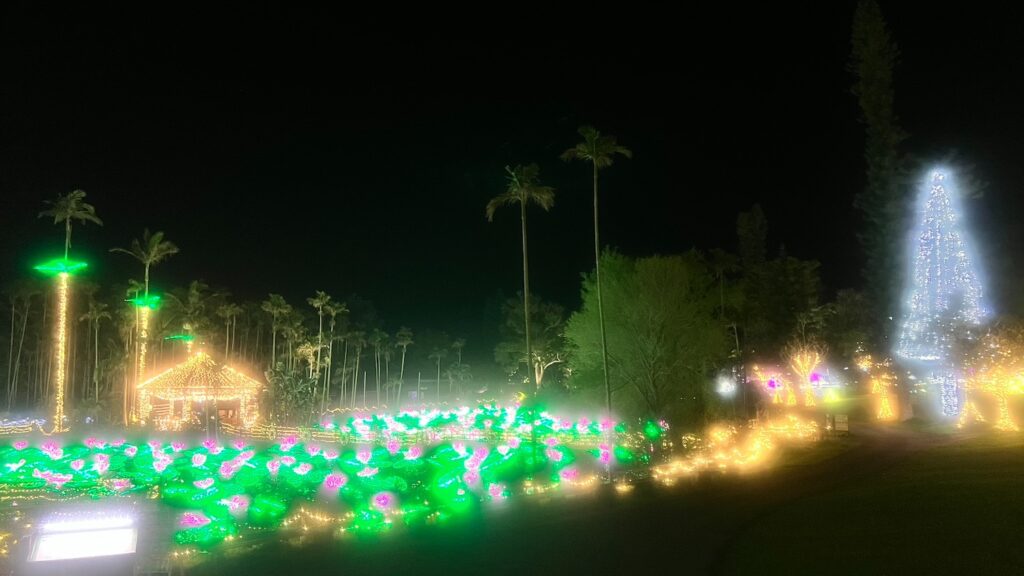 大きなヤシの木を背景に、東屋や木々、池の蓮の葉や花がライトアップされたイルミネーションの風景